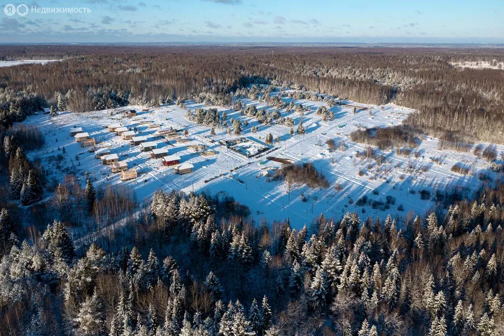 Участок в Завьяловский район, починок Мирный, Дубовая улица, 10 (7 м) - Фото 2