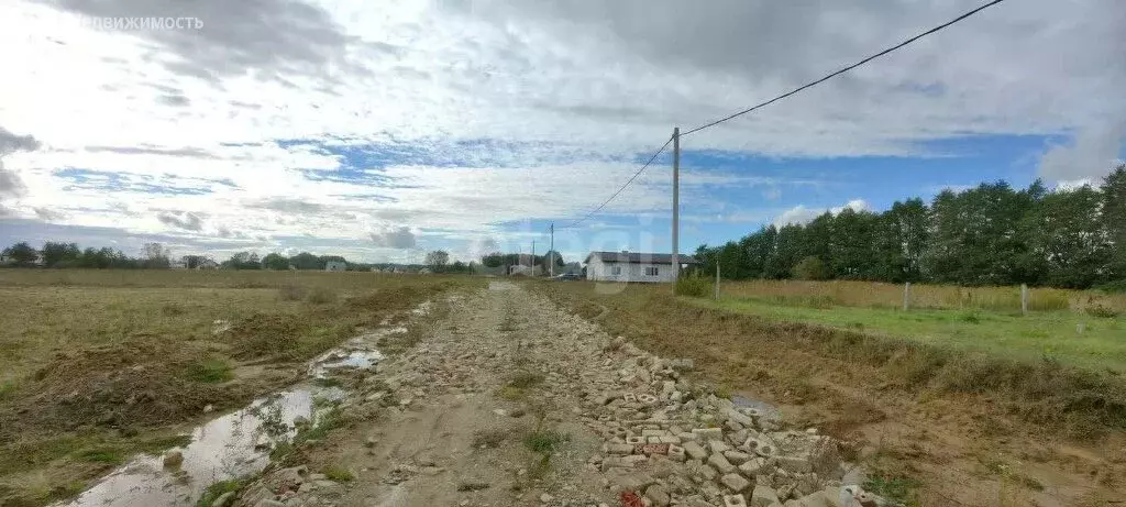 Участок в Калининградская область, Гурьевский муниципальный округ, ... - Фото 2