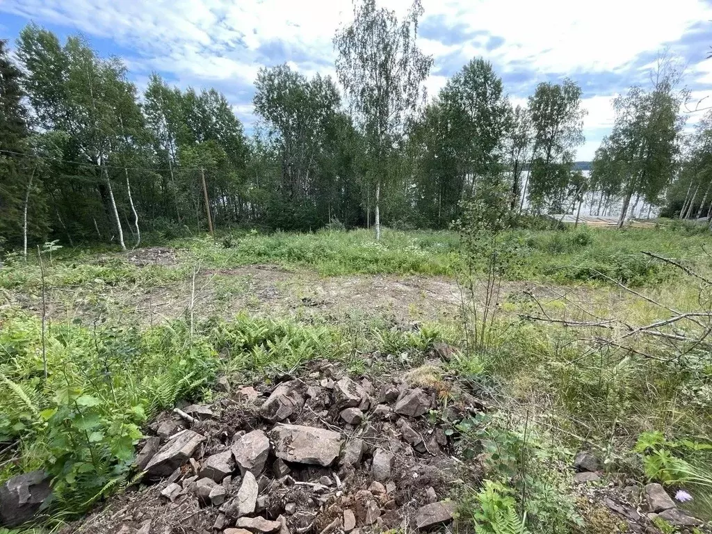 Участок в Карелия, Кондопожский муниципальный район, Кончезерское ... - Фото 2