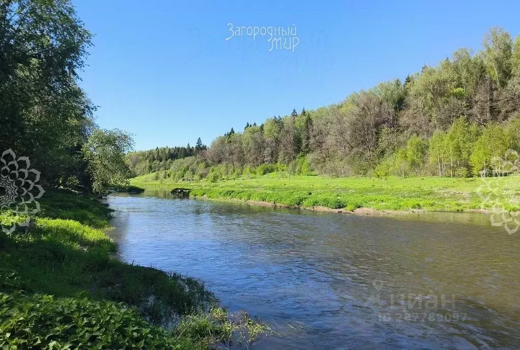 Участок в Калужская область, Жуковский район, Чубарово с/пос, Малинки ... - Фото 1