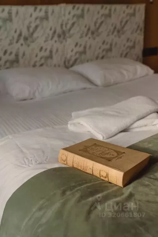 Комната Калининградская область, Светлогорск ул. Токарева, 6 (35.0 м) - Фото 1