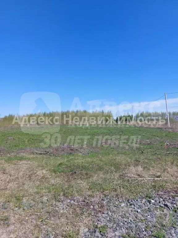 Участок в Тюменская область, Нижнетавдинский район, с. Иска ул. ... - Фото 1