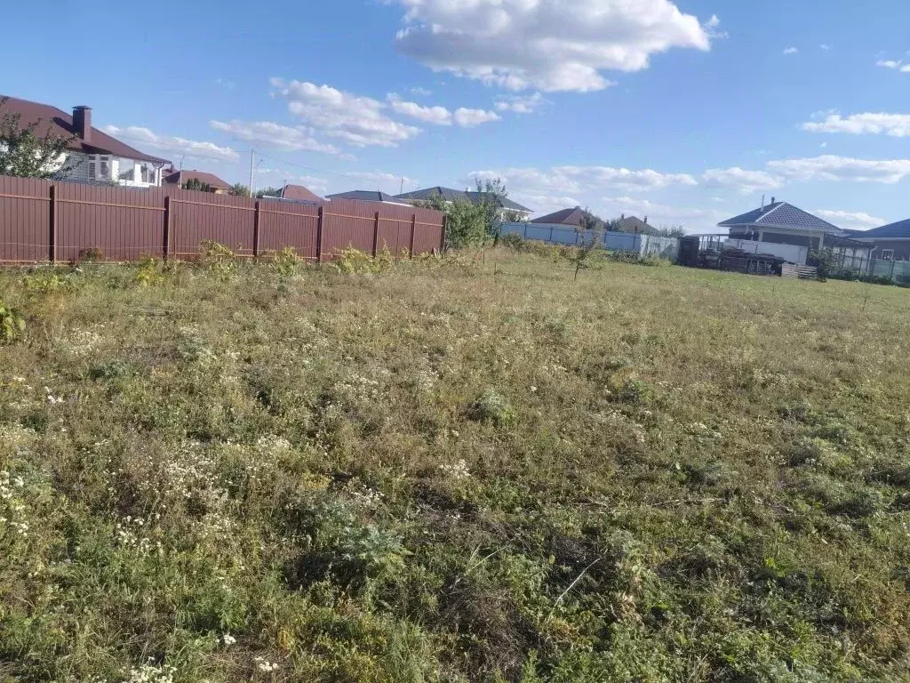 Участок в Белгородская область, Белгородский район, Новосадовское ... - Фото 1
