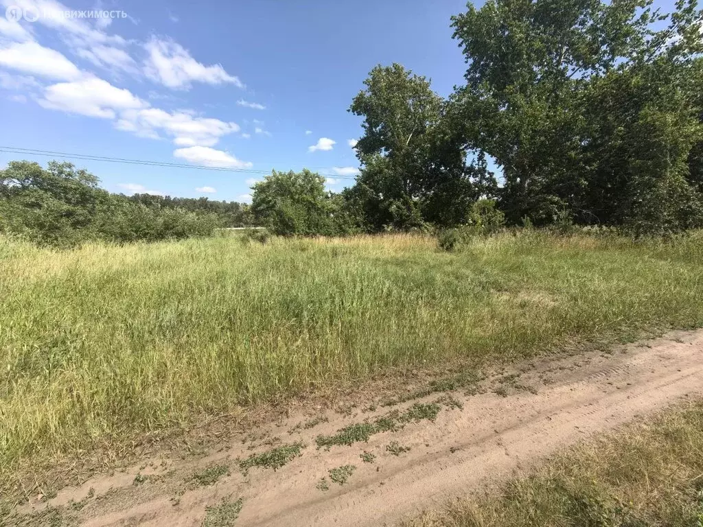 Участок в Омский район, село Усть-Заостровка (19 м) - Фото 0