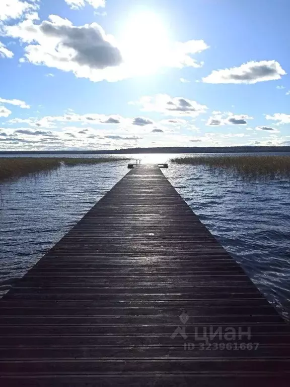 Участок в Ленинградская область, Приозерский район, Плодовское с/пос, ... - Фото 1