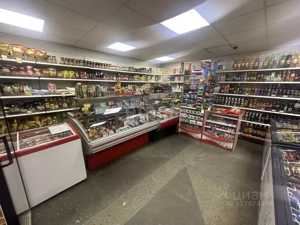 Торговая площадь в Камчатский край, Петропавловск-Камчатский ... - Фото 1