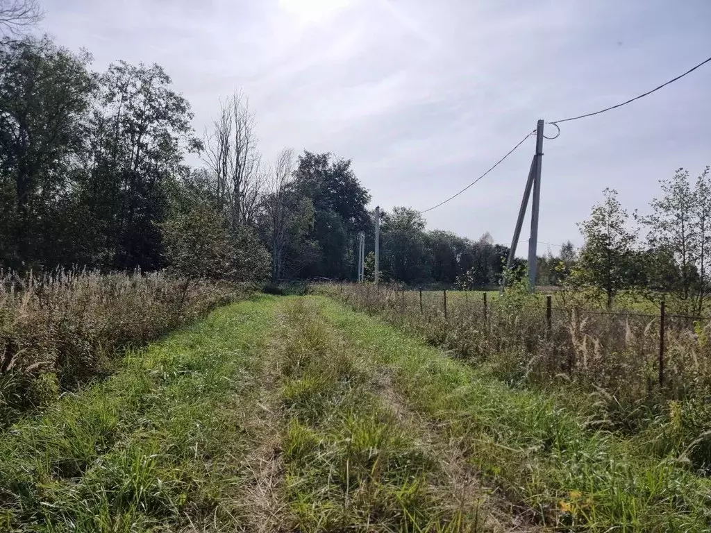 Участок в Московская область, Волоколамский муниципальный округ, с. ... - Фото 1
