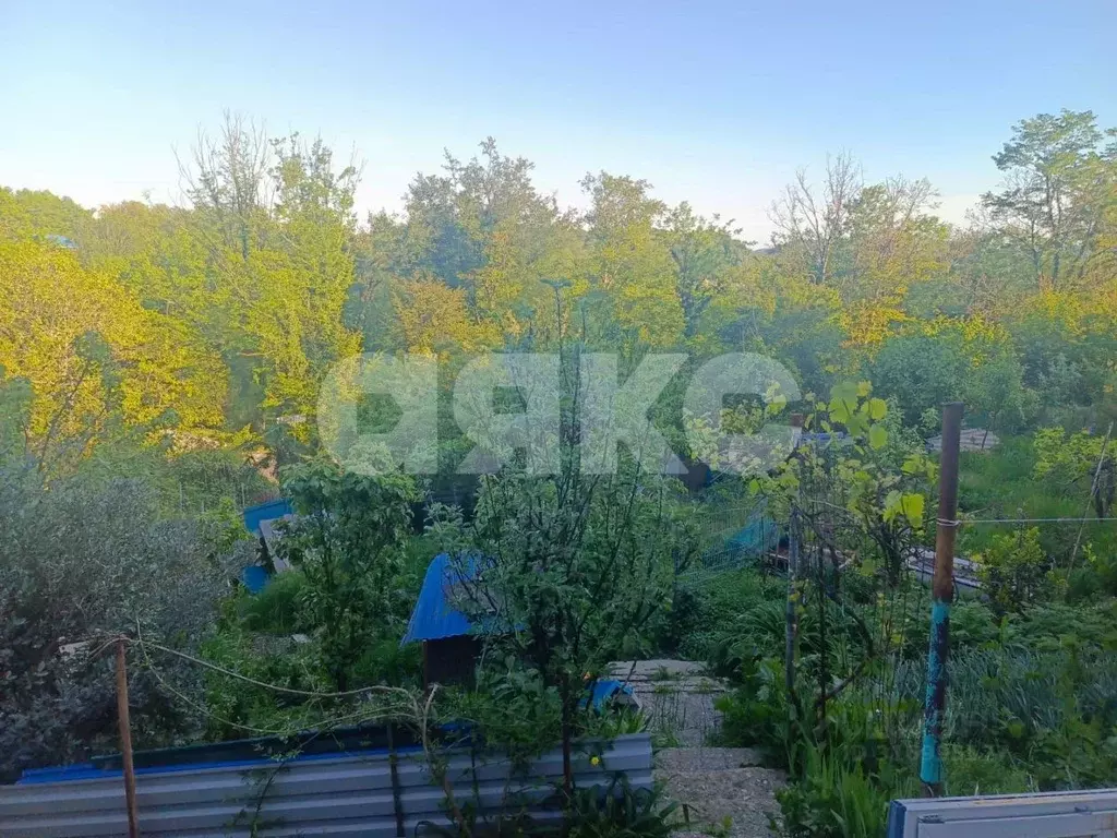 Дом в Краснодарский край, Сочи городской округ, с. Калиновое Озеро ул. ... - Фото 0