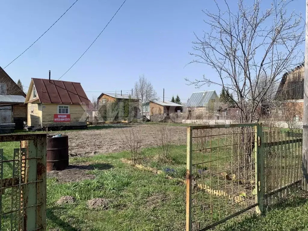 Участок в Новосибирская область, Искитимский район, Морозовский ... - Фото 2