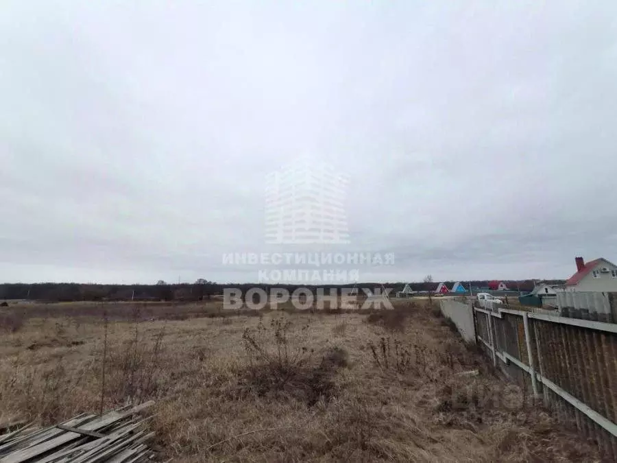 Участок в Воронежская область, Рамонский район, с. Ступино Набережная ... - Фото 2