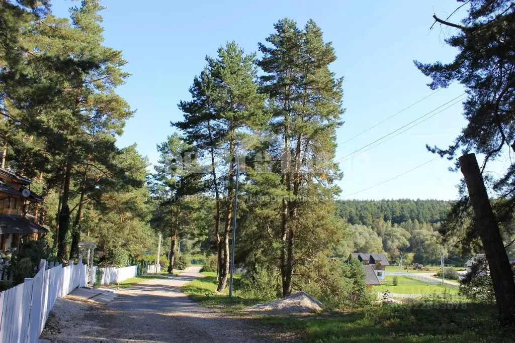 Участок в Тульская область, Заокский район, Малаховское с/пос, ... - Фото 2