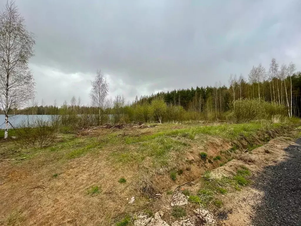 Участок в Ленинградская область, Всеволожское городское поселение, ... - Фото 0