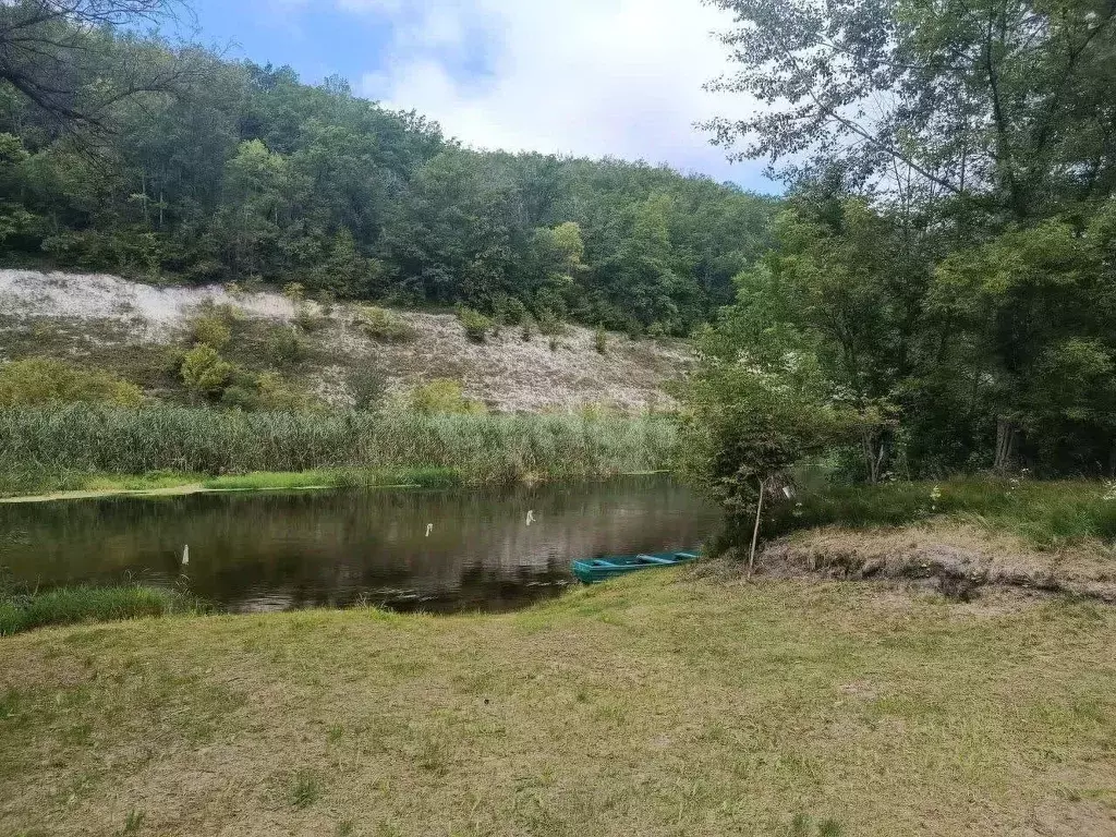 Участок в Белгородская область, Волоконовский район, Староивановское ... - Фото 1