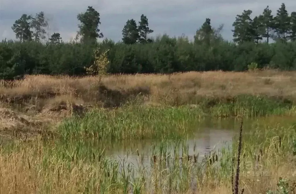 Участок в Белгородская область, Старооскольский городской округ, с. ... - Фото 0