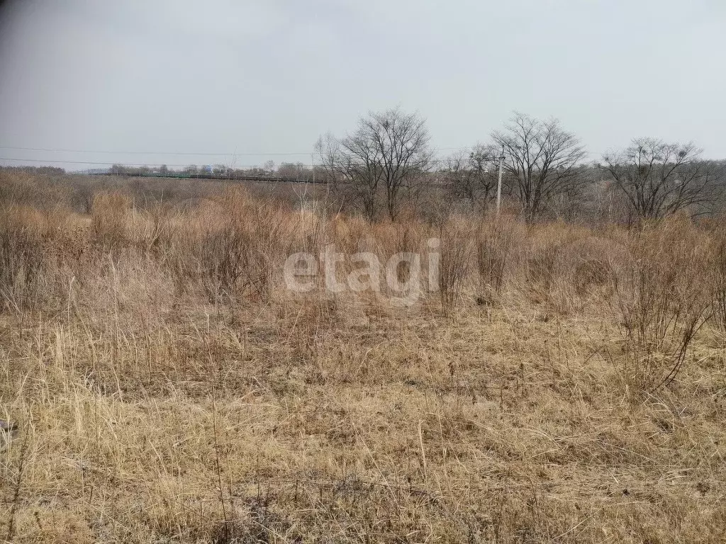 Участок 10 сот. (СНТ, ДНП) - Фото 1