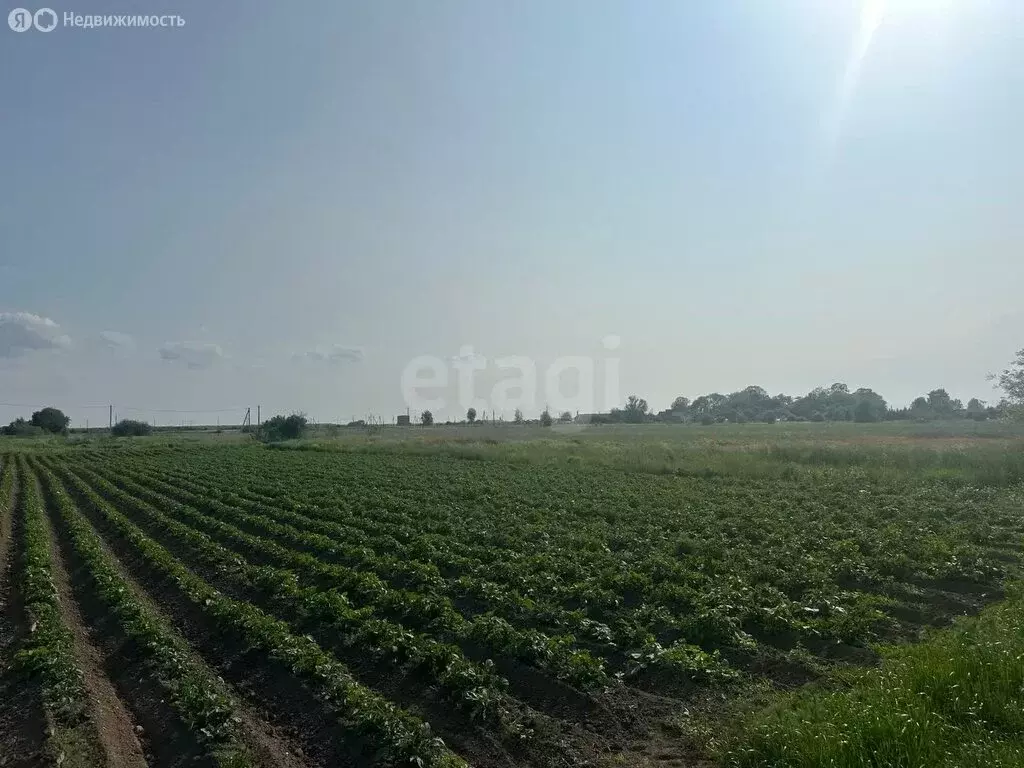 Участок в Калининградская область, Полесский муниципальный округ, ... - Фото 1