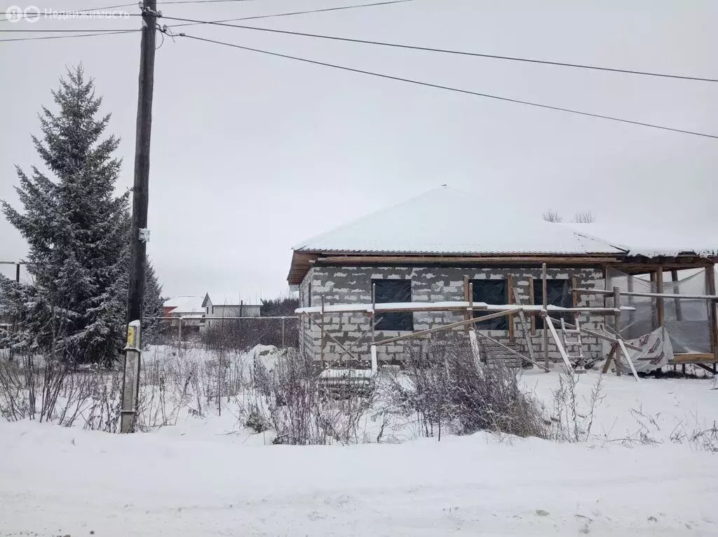 Дом в Нижегородская область, Богородский муниципальный округ, деревня ... - Фото 1