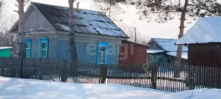 Дом в Амурская область, Тамбовский муниципальный округ, с. Куропатино ... - Фото 0