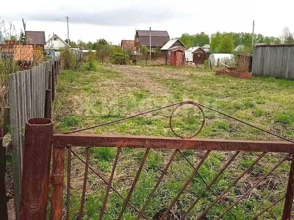Участок в Новосибирская область, Новосибирский район, Толмачевский ... - Фото 0