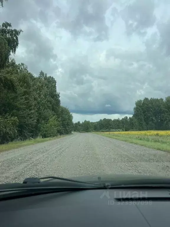 Участок в Новосибирская область, Мошковский район, Барлакский ... - Фото 1