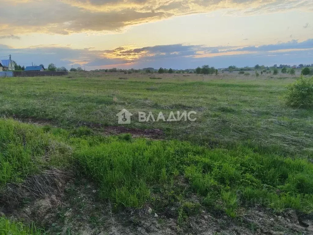 Участок в Вологодская область, д. Филисово  (20.0 сот.) - Фото 0