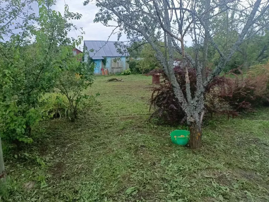 Участок в Владимирская область, Суздальский район, Новоалександровское ... - Фото 1