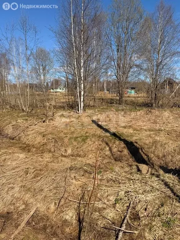 Участок в Московская область, Дмитровский муниципальный округ, КП ... - Фото 2