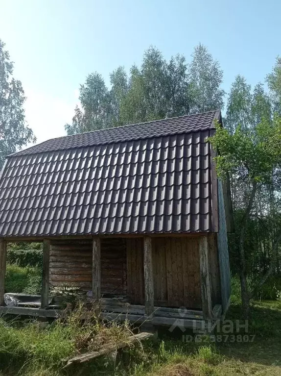 Дом в Смоленская область, Дорогобужский муниципальный округ, ... - Фото 2