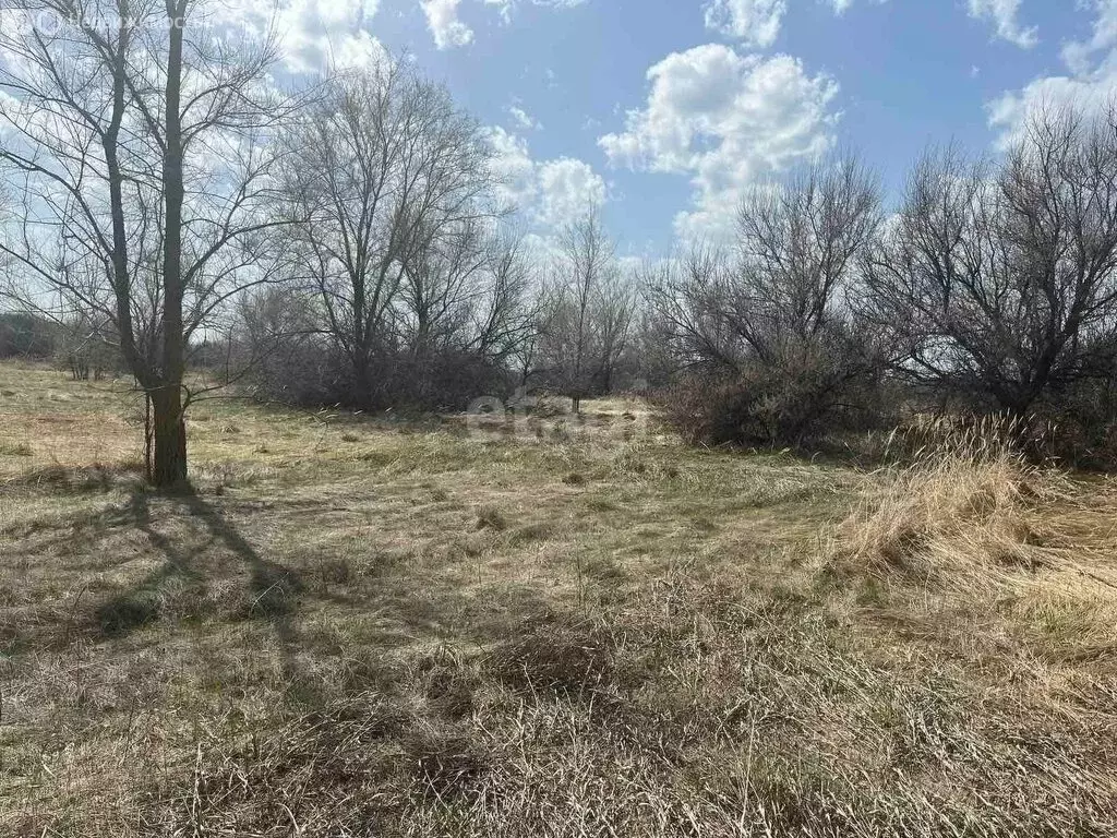 Участок в Нижнее Санчелеево, село Нижнее Санчелеево, Спортивная улица ... - Фото 2