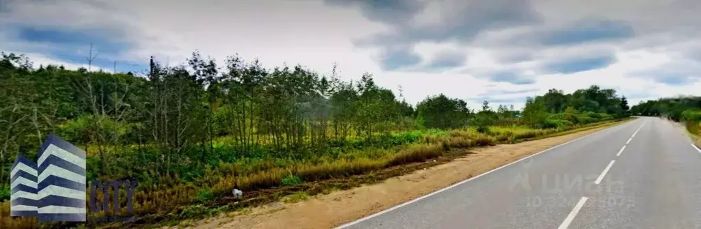 Участок в Московская область, Рузский муниципальный округ, с. ... - Фото 2