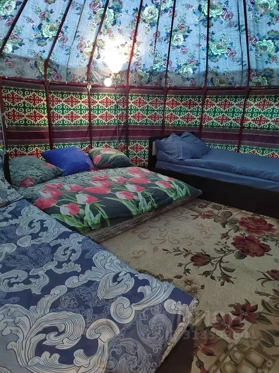 Дом в Алтай, Улаганский район, с. Акташ Южная ул., 7 (20 м) - Фото 1