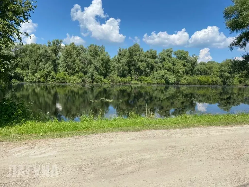 Дом в Томская область, Шегарский район, Заречное НИИ ЯФ садоводческое ... - Фото 0