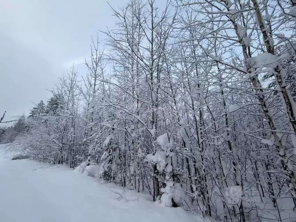 Участок в Коми, Корткеросский район, Посад СДТ 1-я линия (10.24 сот.) - Фото 1