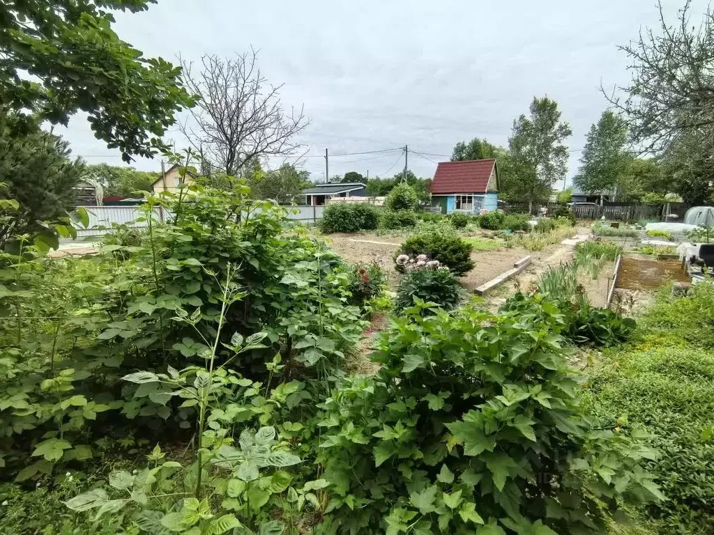 Дом в Сахалинская область, Южно-Сахалинск Картонажник СТ, 19 (20 м) - Фото 1