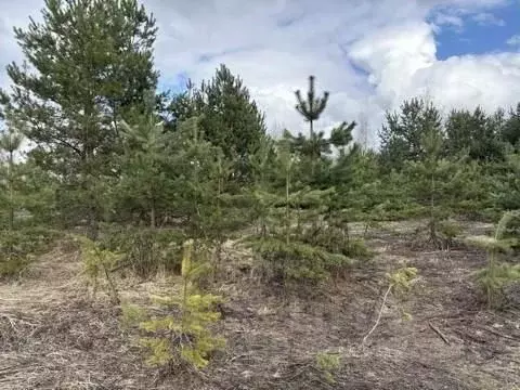 Участок в Московская область, Воскресенск городской округ, Имени ... - Фото 1