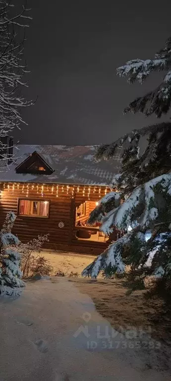 Дом в Пермский край, Добрянский муниципальный округ, с. Красная ... - Фото 2