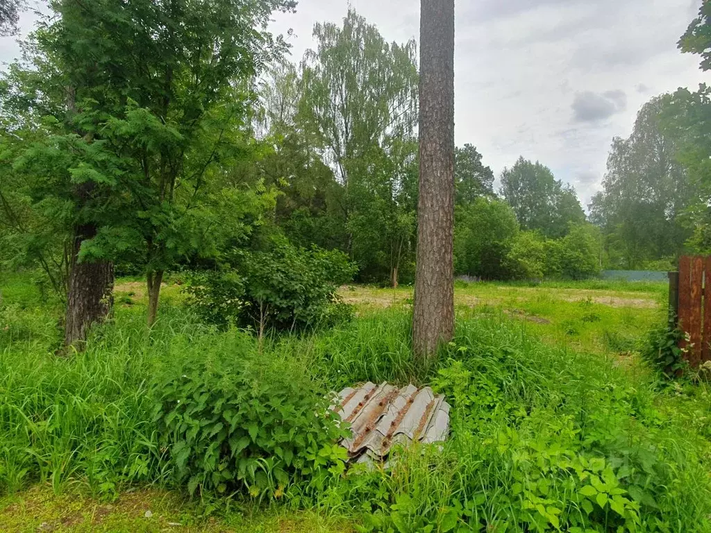 Участок в Ленинградская область, Гатчинский район, Вырица городской ... - Фото 1