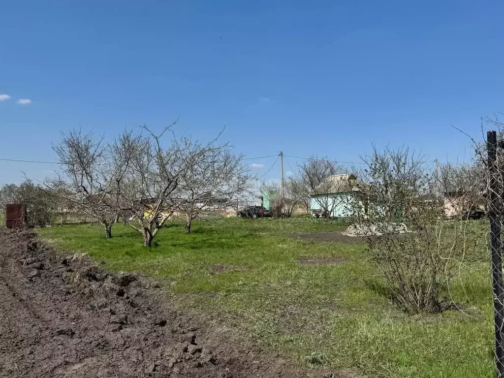 Участок в Белгородская область, Белгородский район, Разумное рп ул. ... - Фото 1