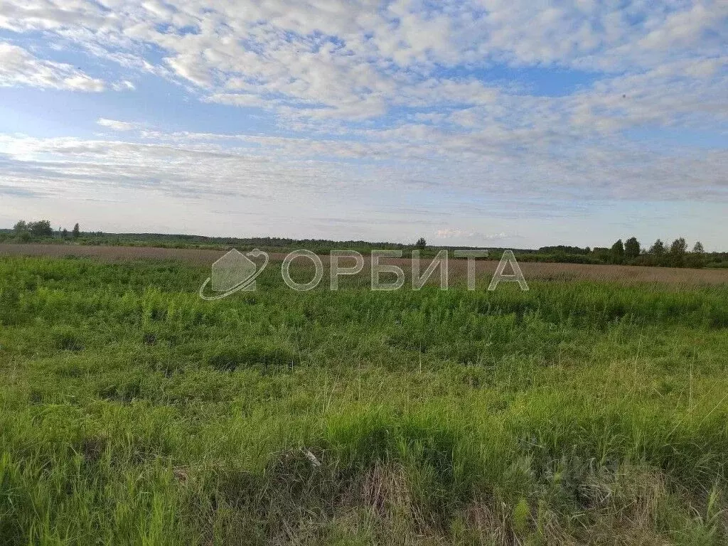 Участок в Тюменская область, Тюменский муниципальный округ, с. ... - Фото 2