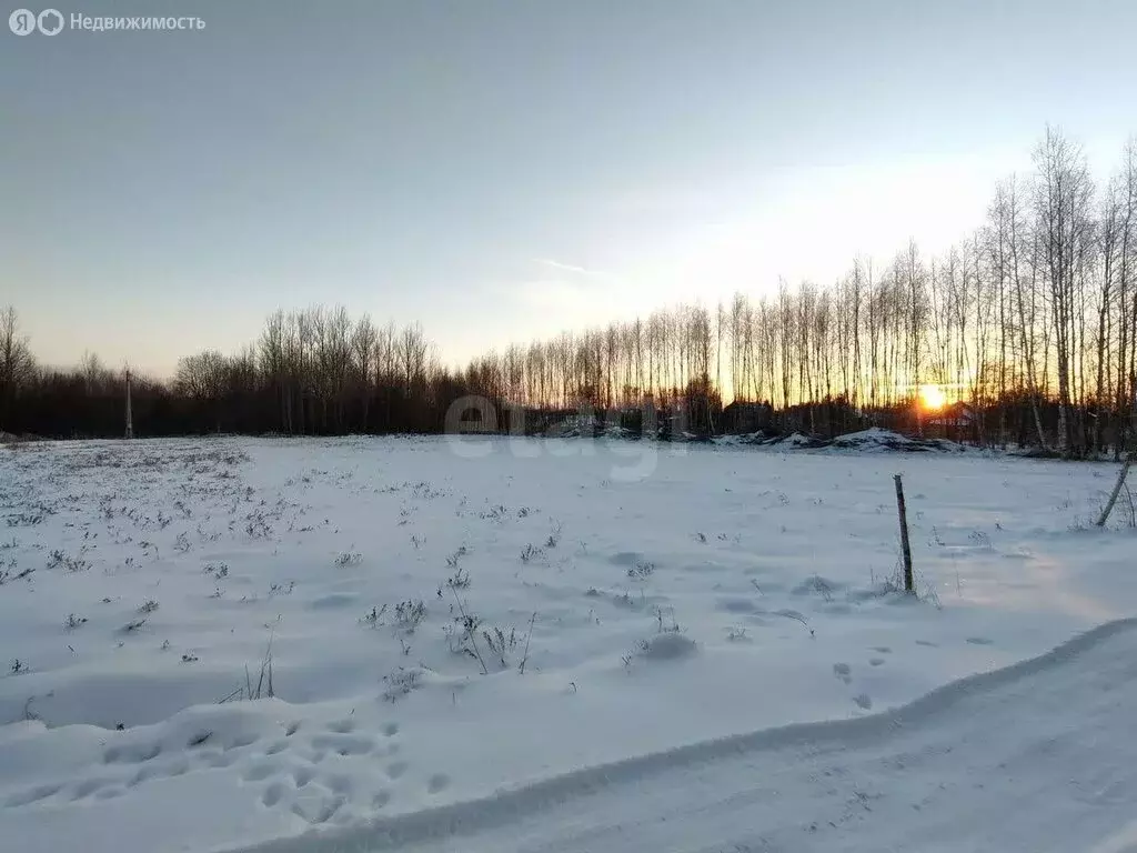 Участок в Ярославская область, Первомайский муниципальный округ, ... - Фото 2