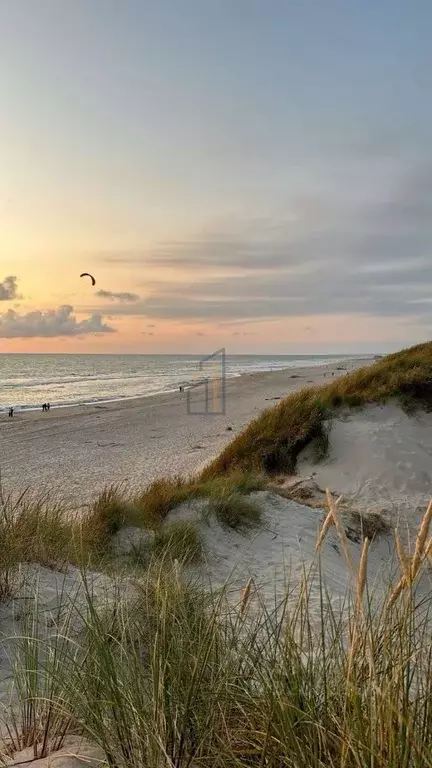 Участок в Крым, Раздольненский район, Славновское с/пос, Отдых СНТ  ... - Фото 1