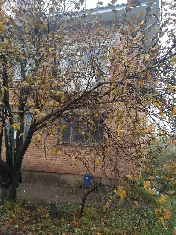 1-комнатная квартира: Благовар, Совхозная улица, 8 (31 м) - Фото 2