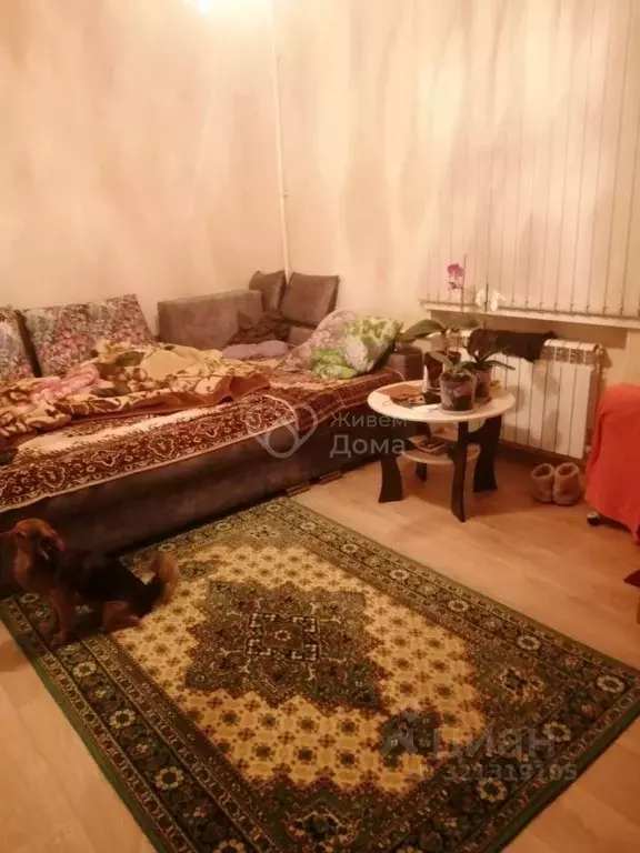 Комната Волгоградская область, Волгоград Кузнецкая ул., 75/5 (29.0 м) - Фото 0