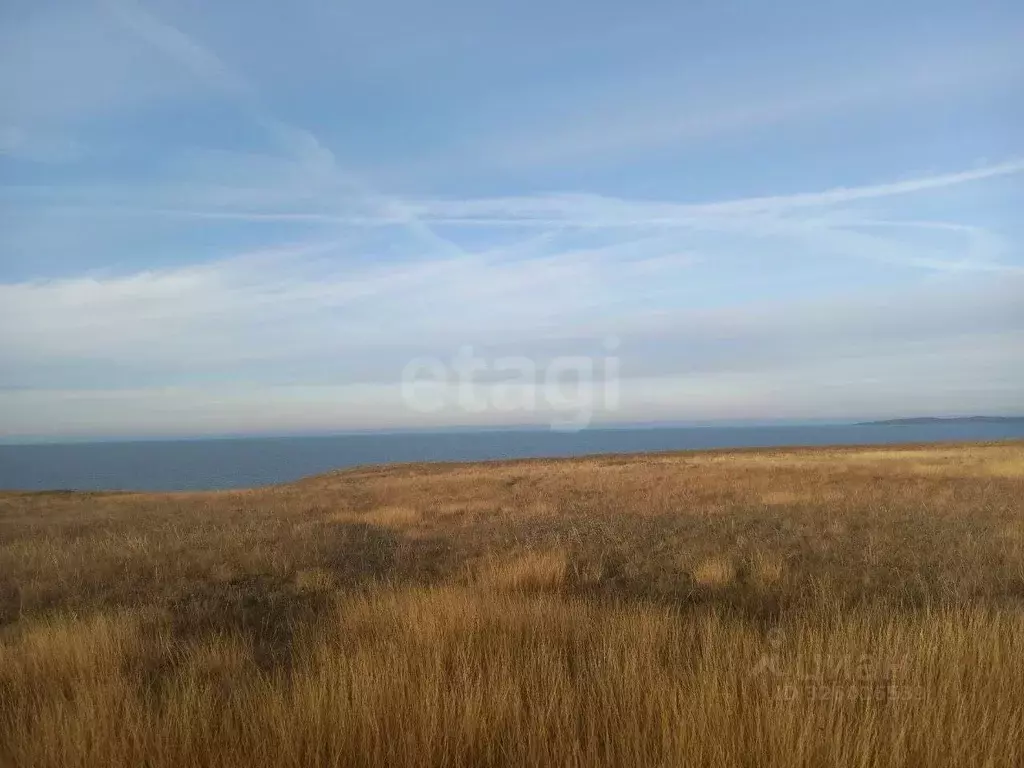 Участок в Крым, Ленинский район, Семисотское с/пос, с. Каменское ул. ... - Фото 1