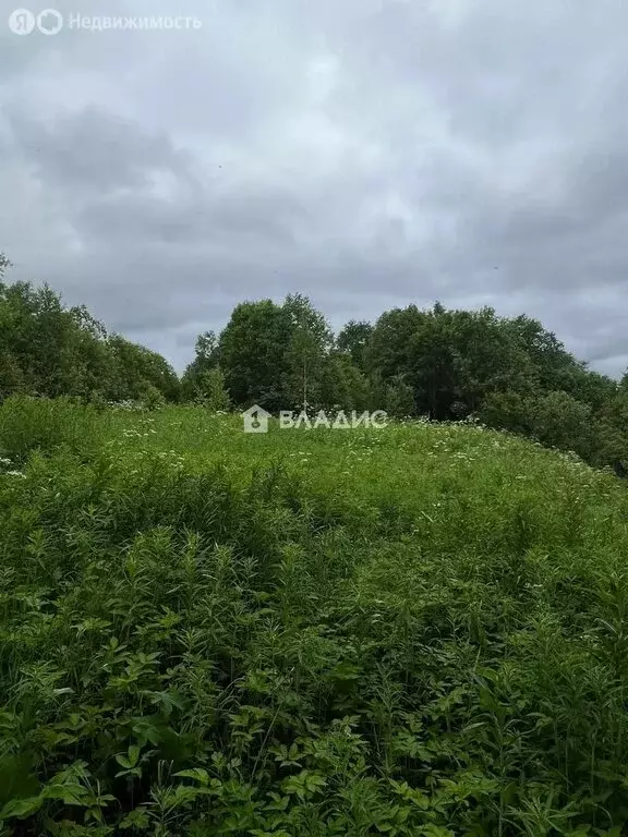 Участок в деревня Большие Коковичи, 21 (38 м) - Фото 2