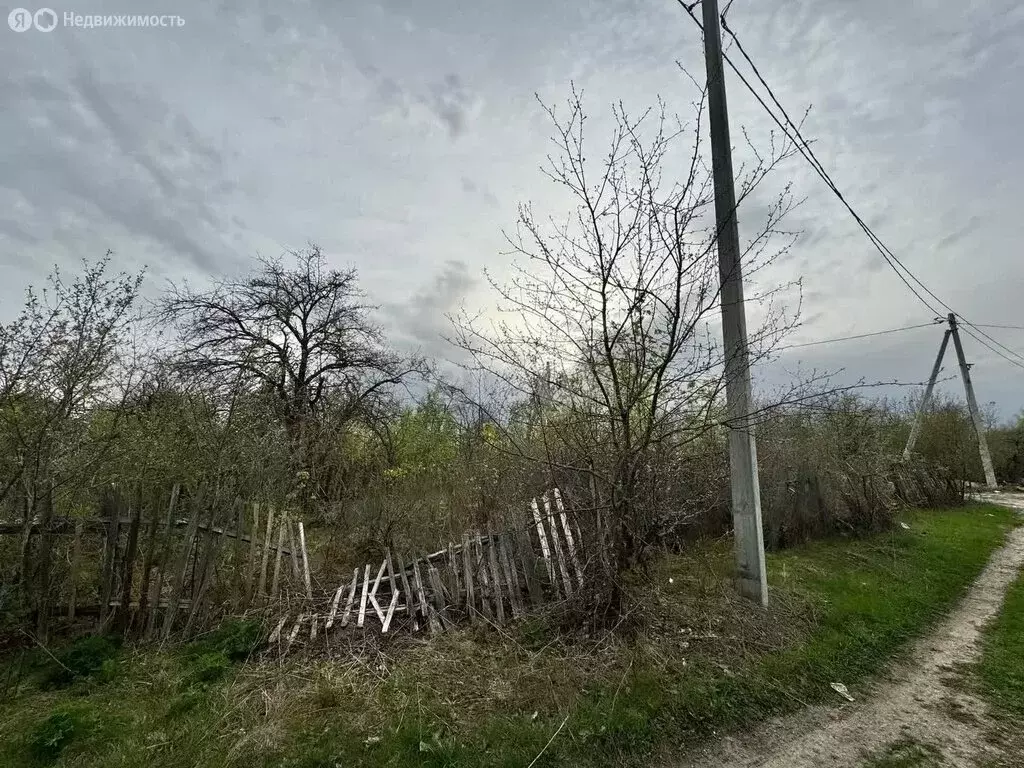 Участок в Саранск, СТ Обновление (8 м) - Фото 1