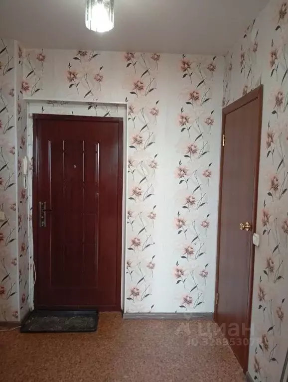 Студия Иркутская область, Иркутск Депутатская ул., 87/2 (34.6 м) - Фото 2