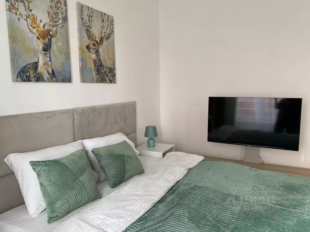 1-к кв. Ленинградская область, Гатчина ул. Чехова, 43к1 (28.0 м) - Фото 2