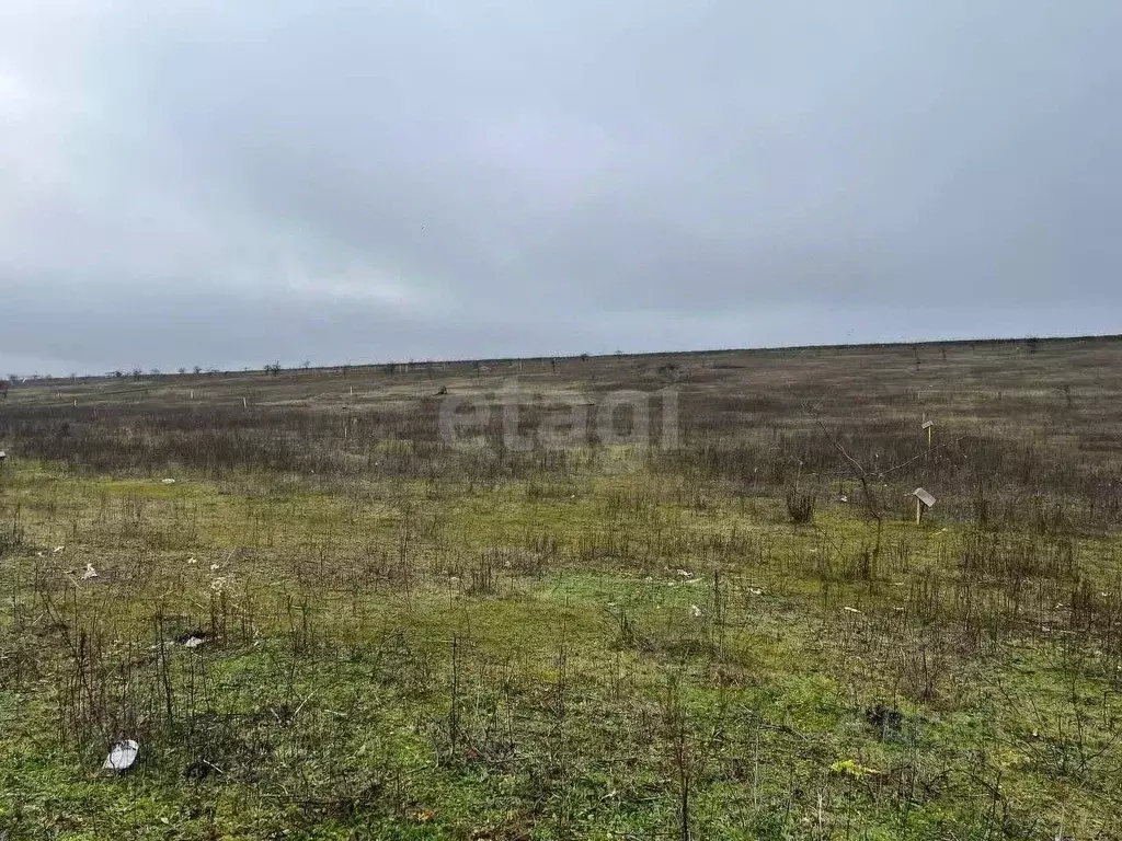 Участок в Ингушетия, Назрань Назрановская ул. (6.0 сот.) - Фото 2