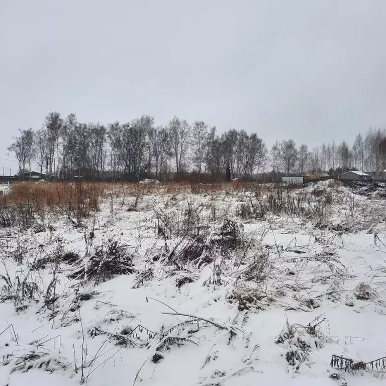 Участок в Московская область, Ступино городской округ, с. Ивановское ... - Фото 0